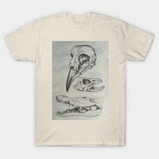 A bird, A fish & A Reptile T-Shirt